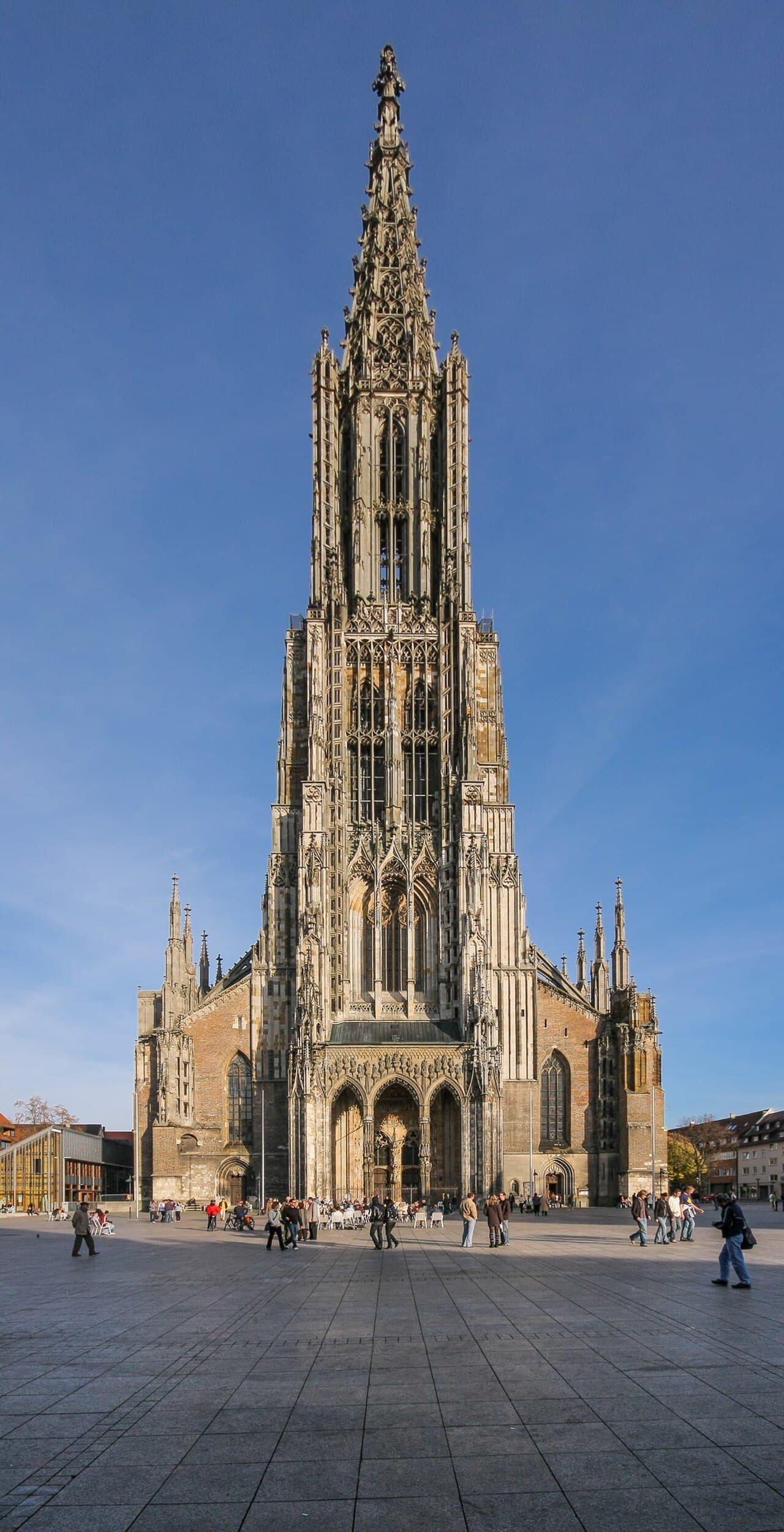 Ulmer Münster über den Dächern von Ulm